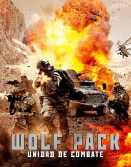 Wolfpack Unidad de Combate