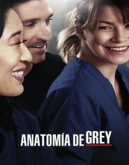 anatomaia-de-grey Saison 10