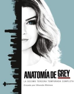 anatomaia-de-grey Saison 13