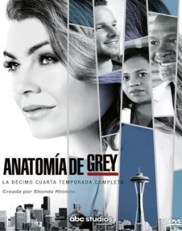 anatomaia-de-grey Saison 14