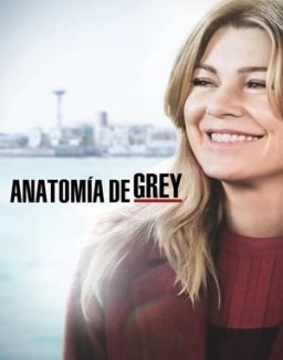 anatomaia-de-grey Saison 15