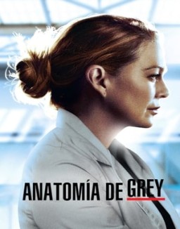 anatomaia-de-grey Saison 17