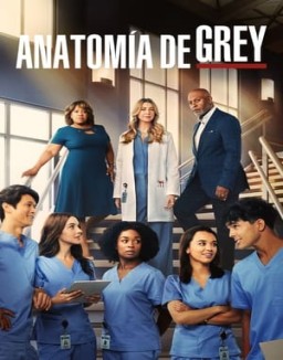 anatomaia-de-grey Saison 19