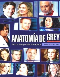 anatomaia-de-grey Saison 6