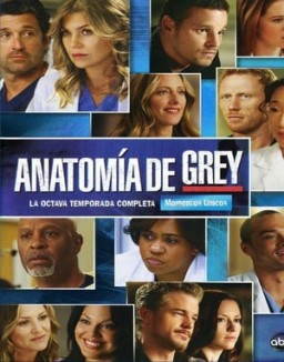 anatomaia-de-grey Saison 8