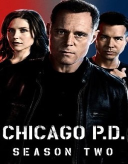 chicago-pd Saison 2