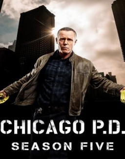 chicago-pd Saison 5