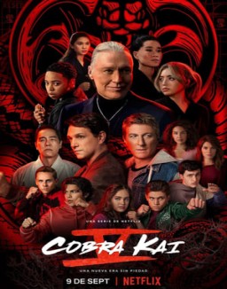 cobra-kai Saison 1