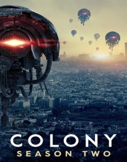 Colony