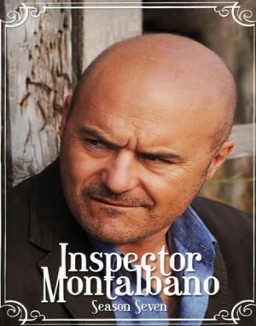 comisario-montalbano Saison 7