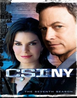 csi-nueva-york Saison 7