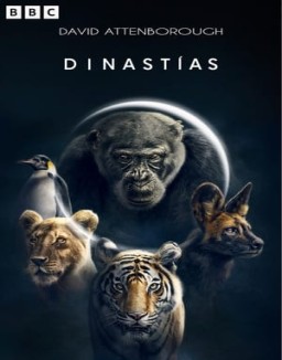 dinastaias Saison 1