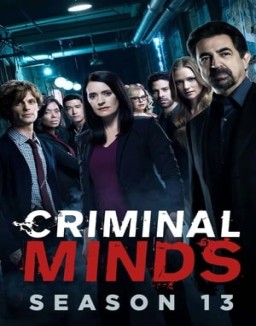 mentes-criminales Saison 13