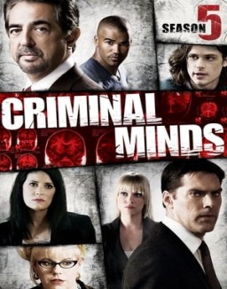 mentes-criminales Saison 5