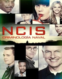 navy-investigaciaon-criminal Saison 1